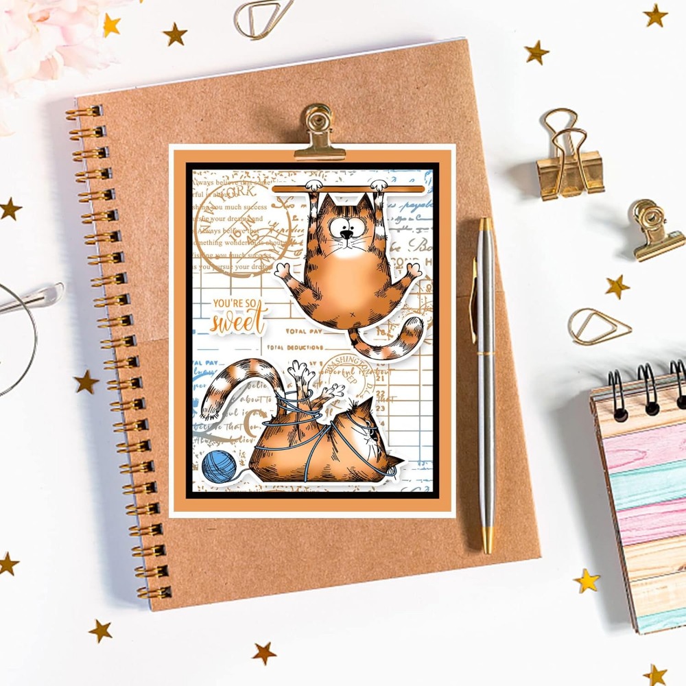 Stamps Cat cap bening untuk ku - Clear Silicone Stamps For Card Making ulasan dan harga